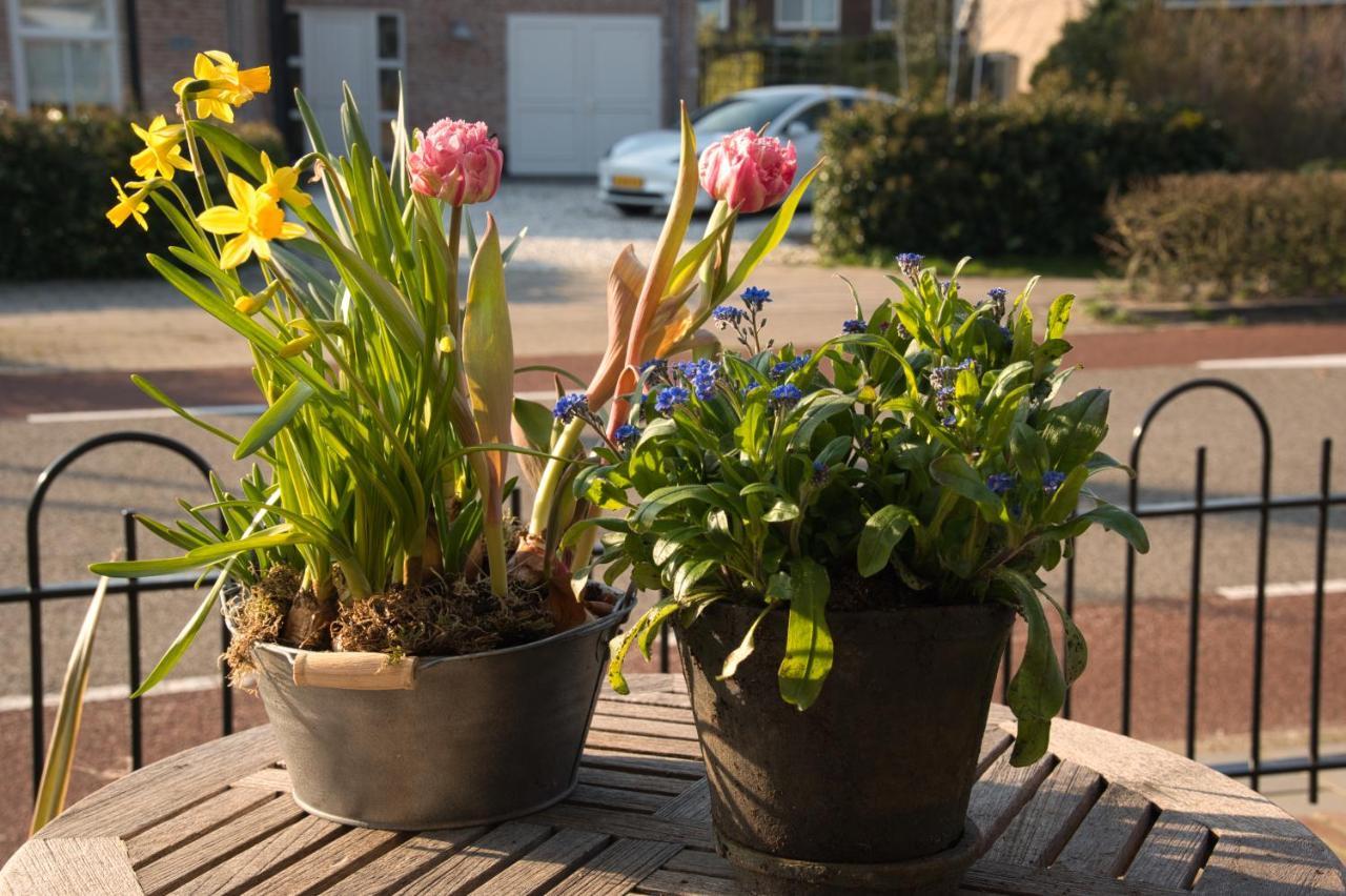 Frühstückspension Geliefd Voorhout