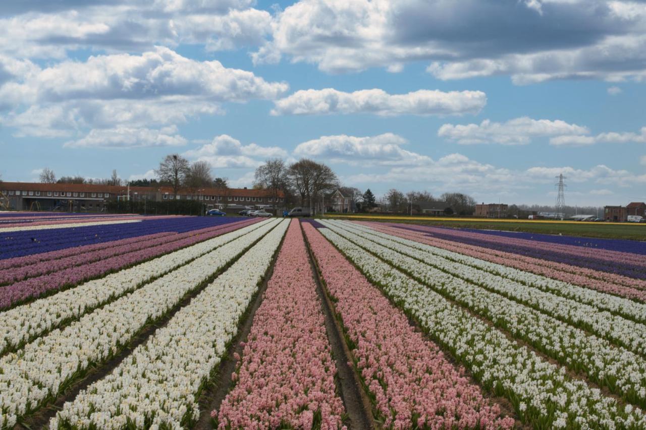 Geliefd Frühstückspension Voorhout